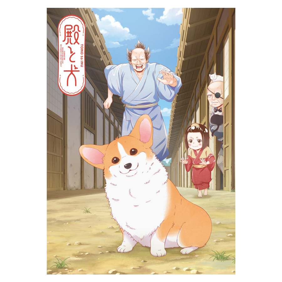 TVアニメ「殿と犬」Blu-ray BOX予約受付開始！