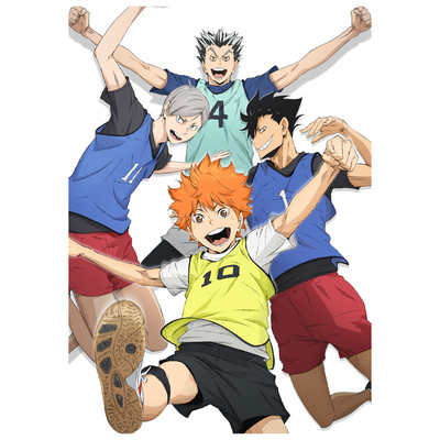 非売品 ハイキュー!! アニメ番宣ポスター 当選品 MBS/TBS アニメ「ハイキュー!!」 on X: 