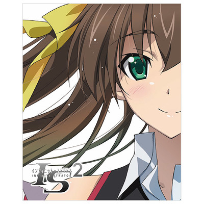 インフィニット・ストラトス アニメ 化 決定 A4 クリアファイル 希少 インフィニット・ストラトス アニメ 化 決定 A4 クリアファイル