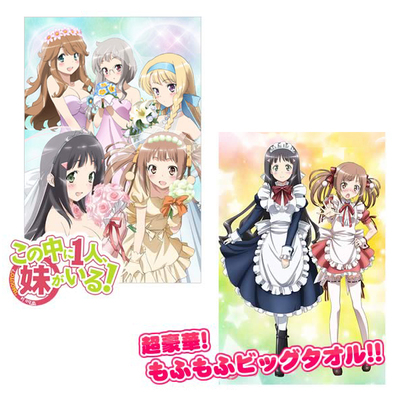 この中に1人、妹がいる！ | TBS・MBSアニメ 公式オンラインストア