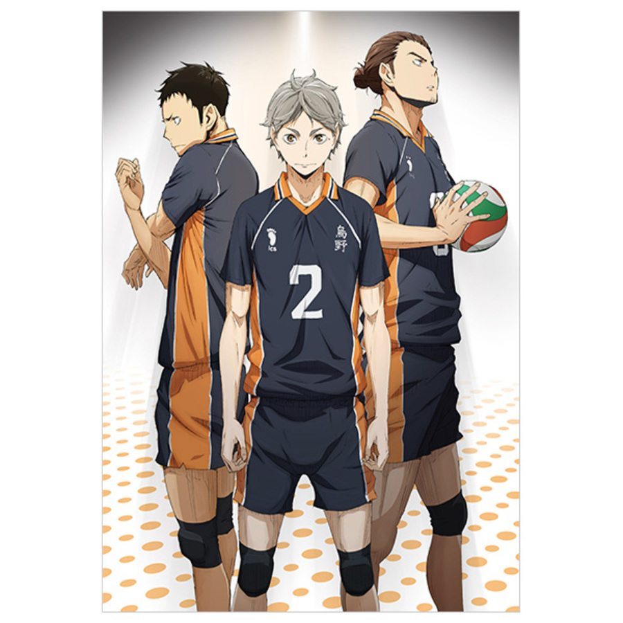 ハイキュー!!／DVD／Vol.6（初回生産限定版） | TBS・MBSアニメ