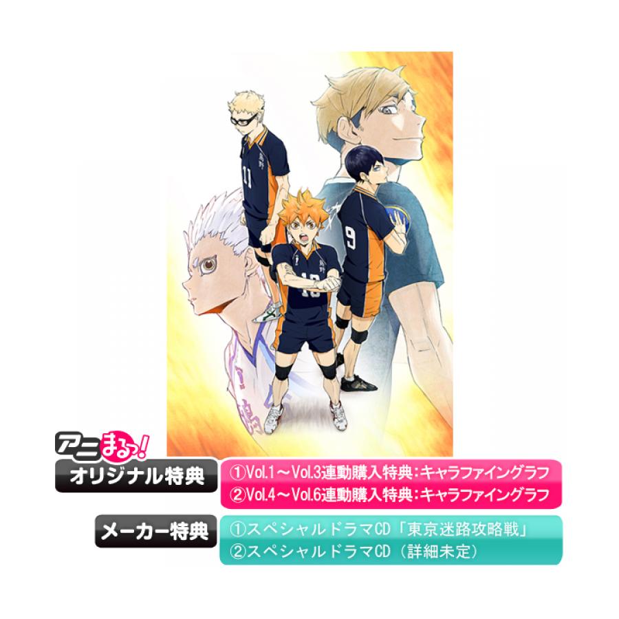アニメDVD ハイキュー!! 初回生産限定版 全9巻セット - アニメ アニメDVD ハイキュー!! 初回生産限定版 全9巻セット - アニメ