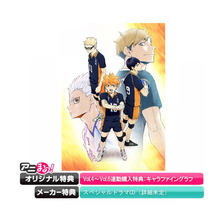 ハイキュー To The Top Dvd Vol 4 Vol 6購入セット 初回生産限定版 アニまるっ オリジナル特典付き 送料無料 アニまるっ