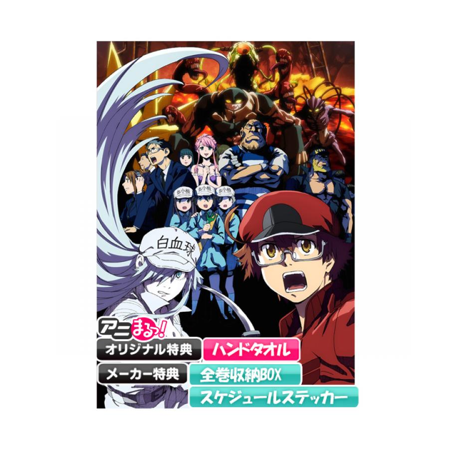 はたらく細胞black Dvd 全巻セット 初回限定 アニまるっ オリジナル特典付き 送料無料 アニまるっ