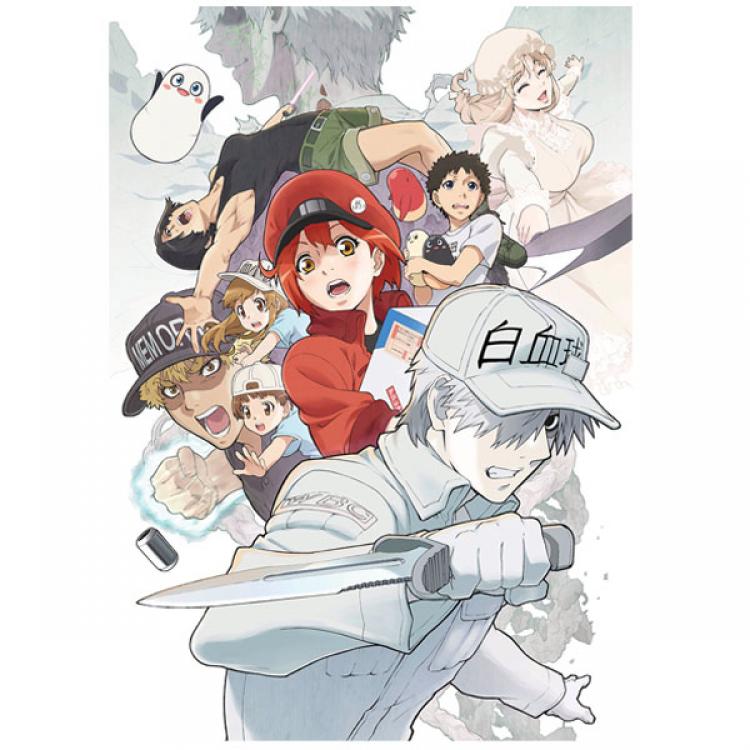 はたらく細胞 2(完全生産限定版) [Blu-ray] mxn26g8 Amazon.co.jp: はたらく細胞 2(完全生産限定版) [Blu-ray] : 花澤香菜