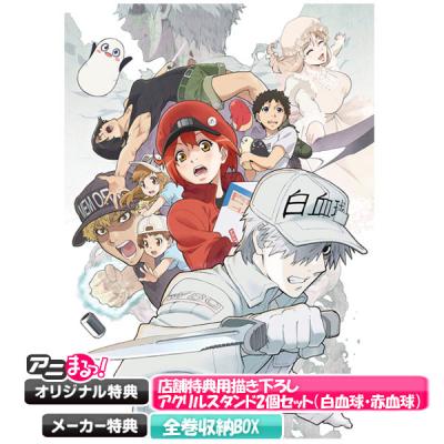 はたらく細胞／Blu-ray／全巻セット（オリジナル特典付
