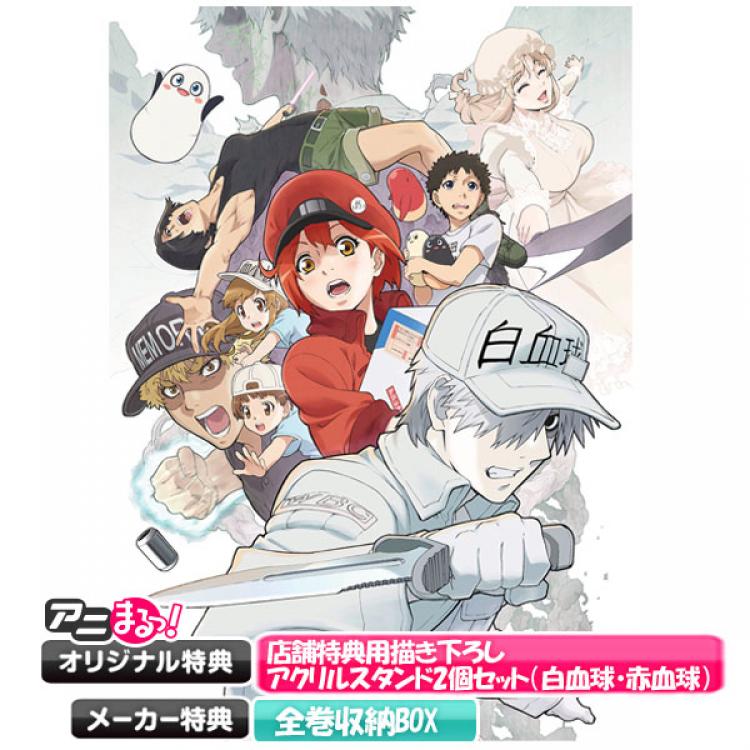 はたらく細胞 全7巻+特別編 計8巻セット「レンタル落ち」 - アニメーション