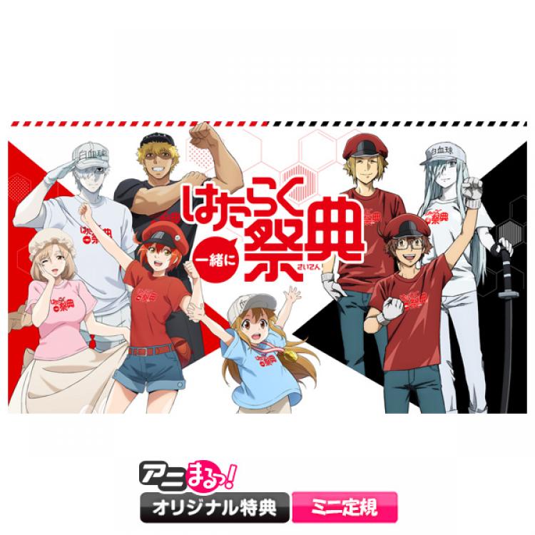 一緒にはたらく祭典／DVD（アニまるっ！オリジナル特典付き