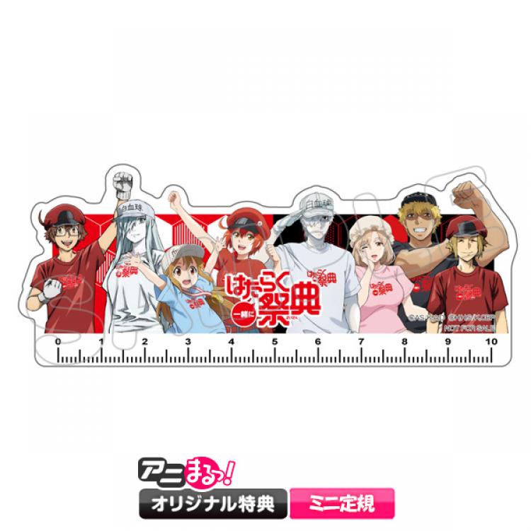一緒にはたらく祭典／DVD（アニまるっ！オリジナル特典付き・完全生産
