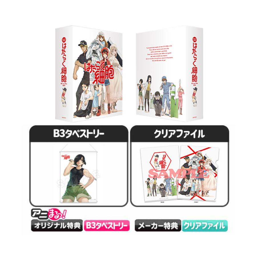 Stand Pop - Acrylic stand - Hataraku Saibou (Cells at Work!) (はたらく細胞!!  アクリルスタンドコレクション BOX)