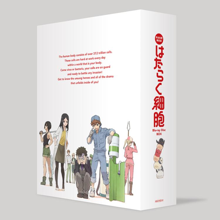 はたらく細胞／Blu-ray BOX【完全生産限定版】 | TBS・MBSアニメ 公式 