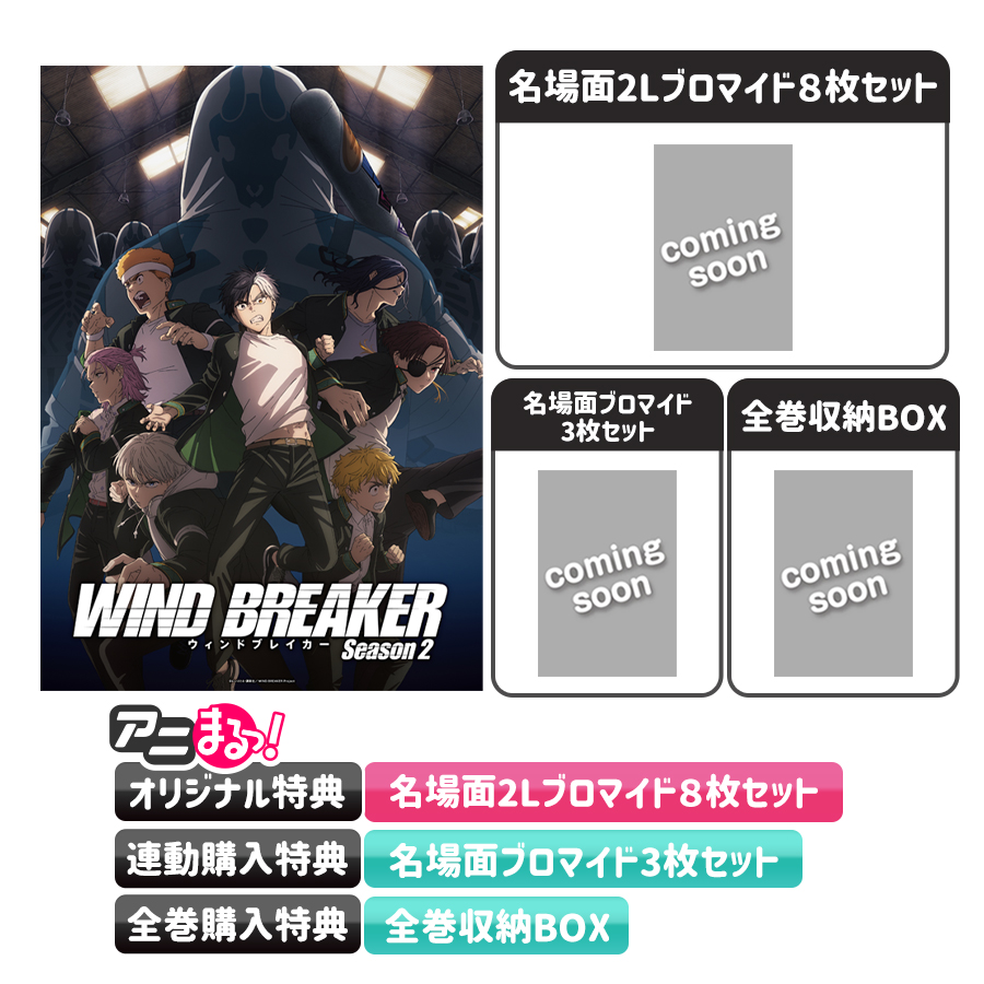 Amazon.co.jp: WIND BREAKER 5(完全生産限定版) [DVD] : 内田雄